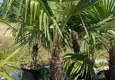 5738d7ba-9a85-4235-bdfc-2759a13306d8