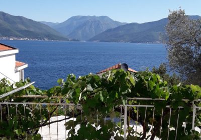 IMG-5fd1b5f15844a511ad685c8d78d44300-V-1