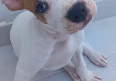 IMG_20230705_152155_741