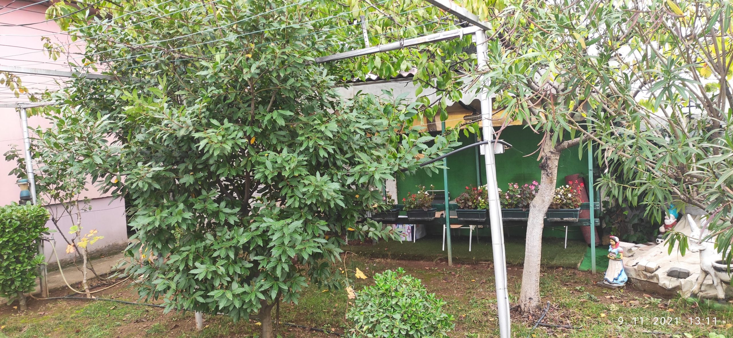 Kuća,Ibričevina-Podgorica