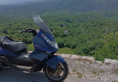 inbound5996365599441294035