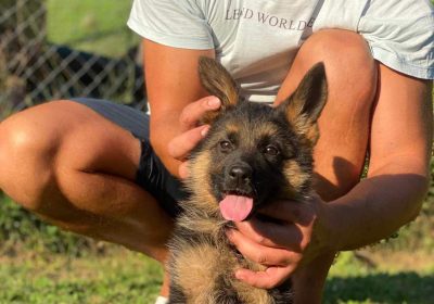 BE8B2534-6A4F-4EE2-B2AB-3F7E6F171A96