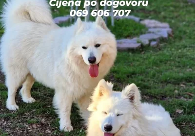 IMG_20230803_154253_957