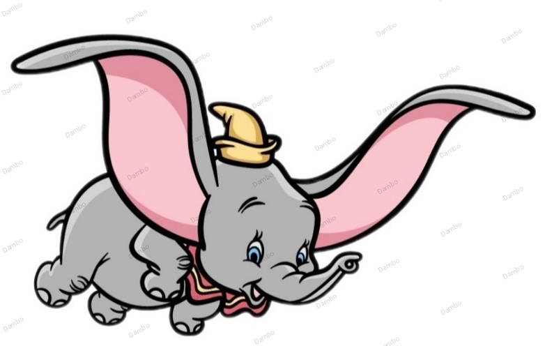 Mašinsko pranje tepiha