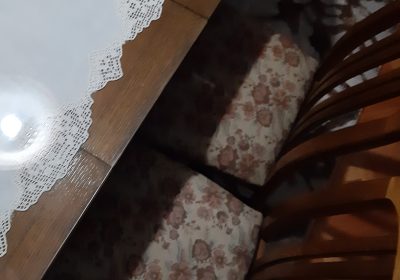 inbound5962561264095599004