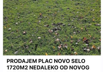 inbound963398735695911449