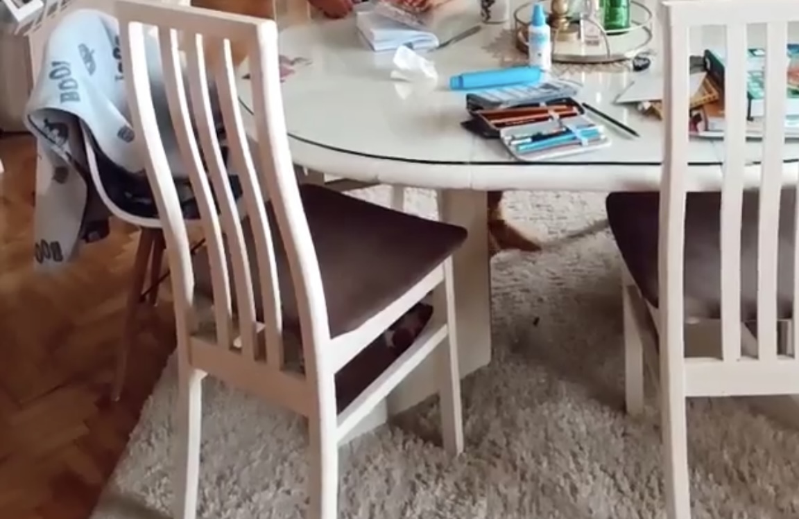 Prodajem sto i stolice( drvo)