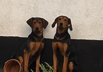 EF5E194E-357A-4572-9ACA-D734DCC873E1