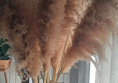 inbound4357566711780281808