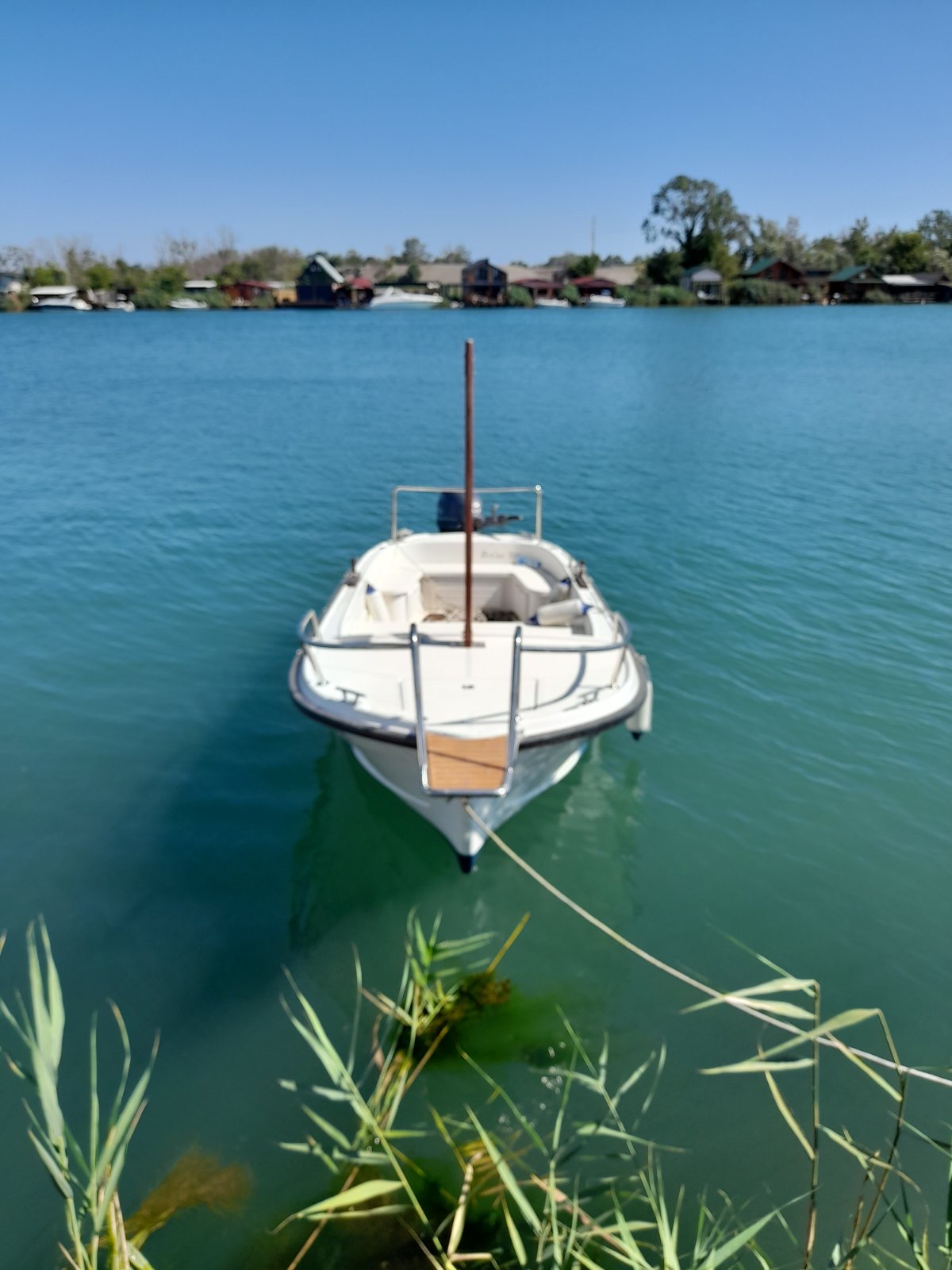 Betina 500 Yamaha 40