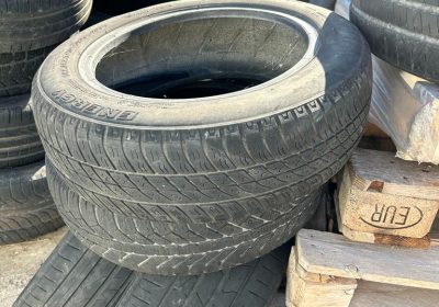 6a6ebf8c-d798-4b01-a9db-55301d0b1a1d