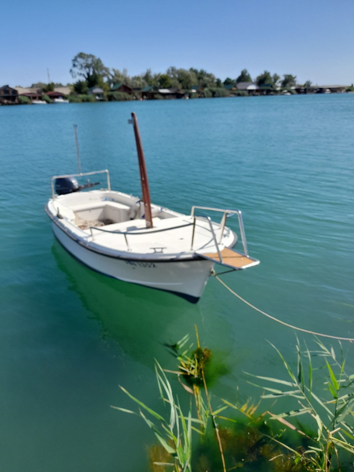 Betina 500 Yamaha 40