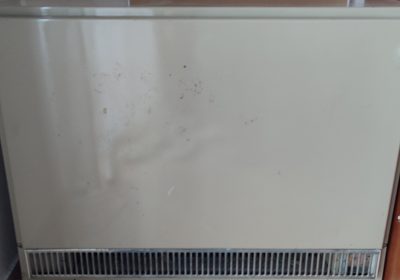 inbound1952588570728560463