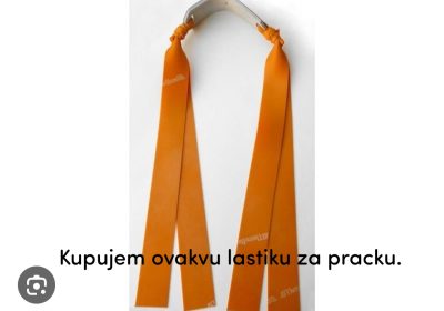 inbound4501061454613942828