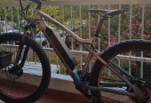 TOTEM-E-Bike Mountainbike 29″