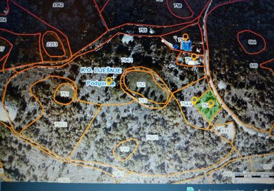 inbound1717974835192711920