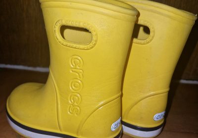 inbound1986825396518762381