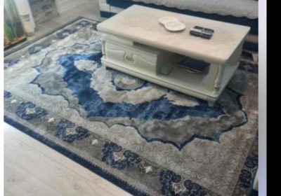 inbound5377298989584305986