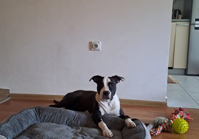 inbound3261942821771324684