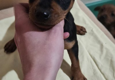 inbound4137986144166395479