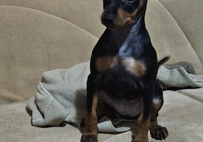 inbound8828593432706430239