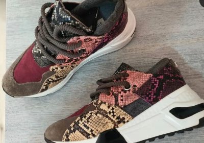 inbound3035381878304210583