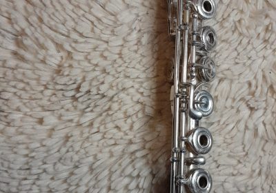 inbound5961136540253235257