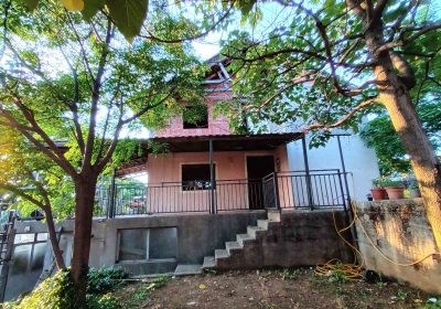 inbound6047503035893967761