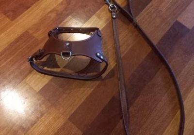 inbound6820837526706755134