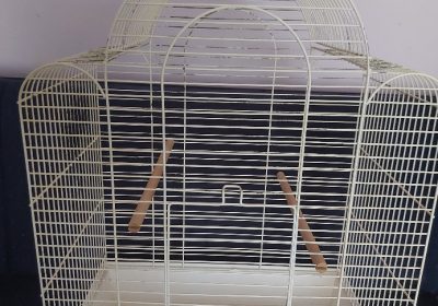 inbound976108012519924721