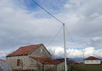 inbound1931912809187038194