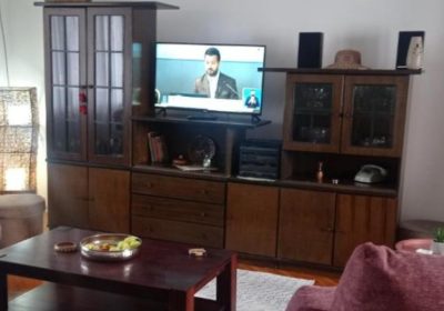 inbound4684871241344418895