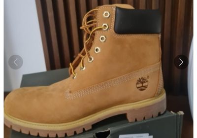 inbound7829849448997772641