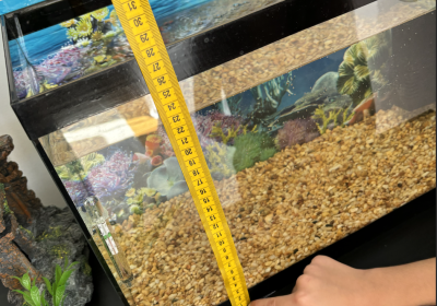 Screenshot-2025-04-04-at-12.21.11