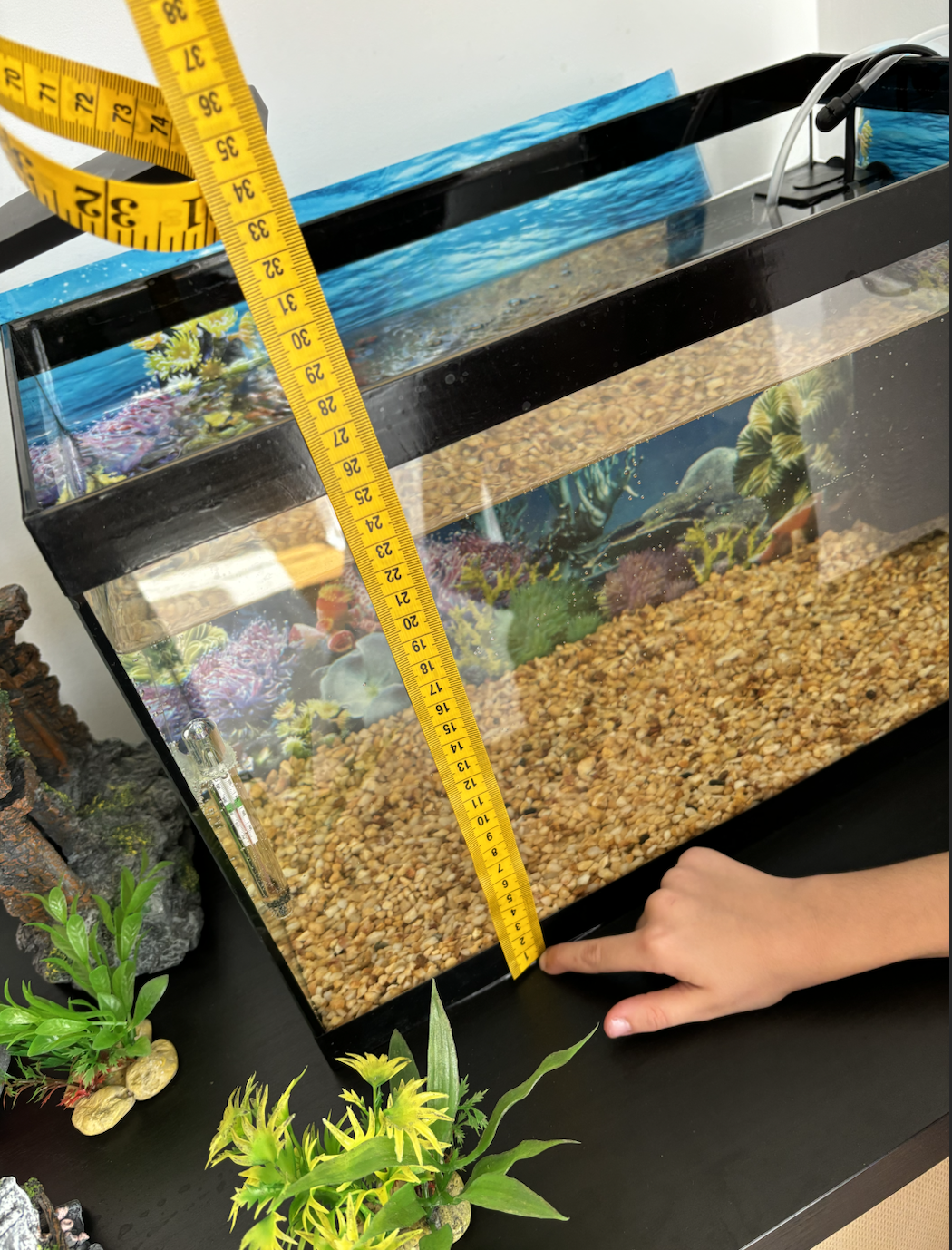 AKVARIJUM SA OPREMOM