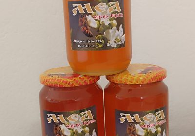 inbound5723389103981469384