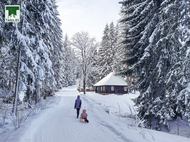Turisticki aranzmani