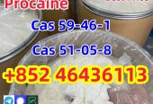 Good Quality Of 59-46-1 Procai