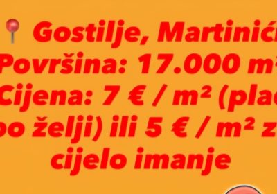 inbound8806184612682895461