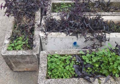 inbound8893413622539196049