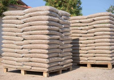 WhatsApp-Image-2026-02-13-at-11.31.11-AM