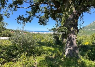 agency-andranek-img-3brccb8ktm-whatsapp-slika-2025-05-26-u-14.56.11-2233fe6f