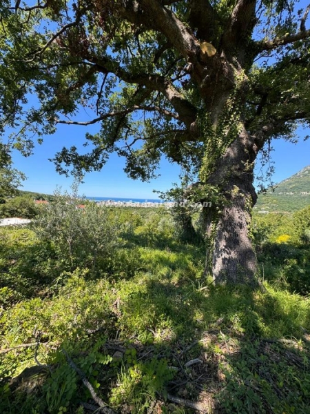 Na prodaju plac, Bjeliši, Bar