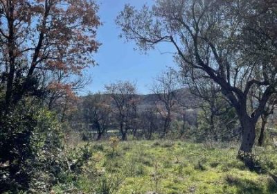 agency-andranek-img-b7neymygar-viber-slika-2022-02-11-16-58-00-671