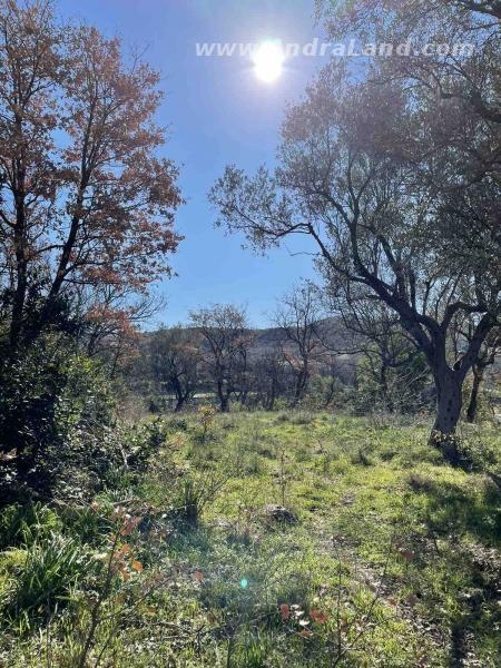 Plac, Zaljevo, Bar, 200.000Eur