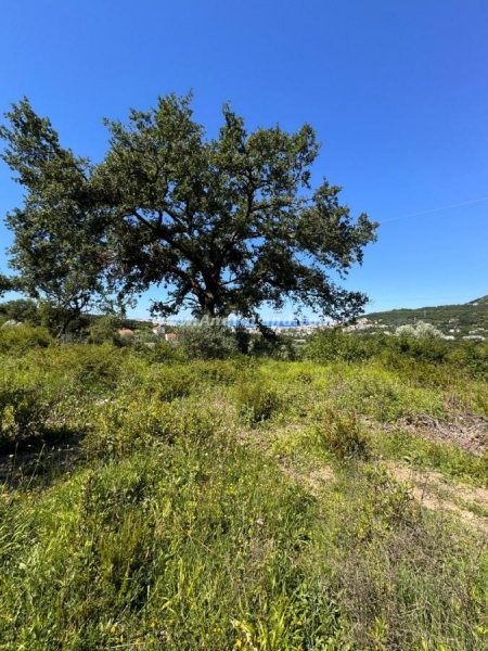 Na prodaju plac, Bjeliši, Bar