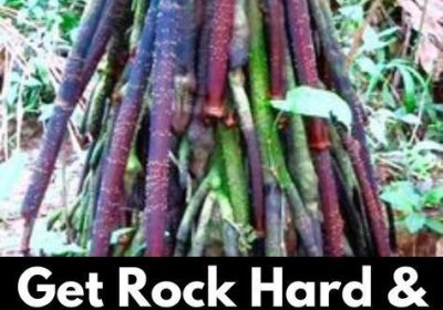 ef914555d21b3d3a44cedeb2288958f9