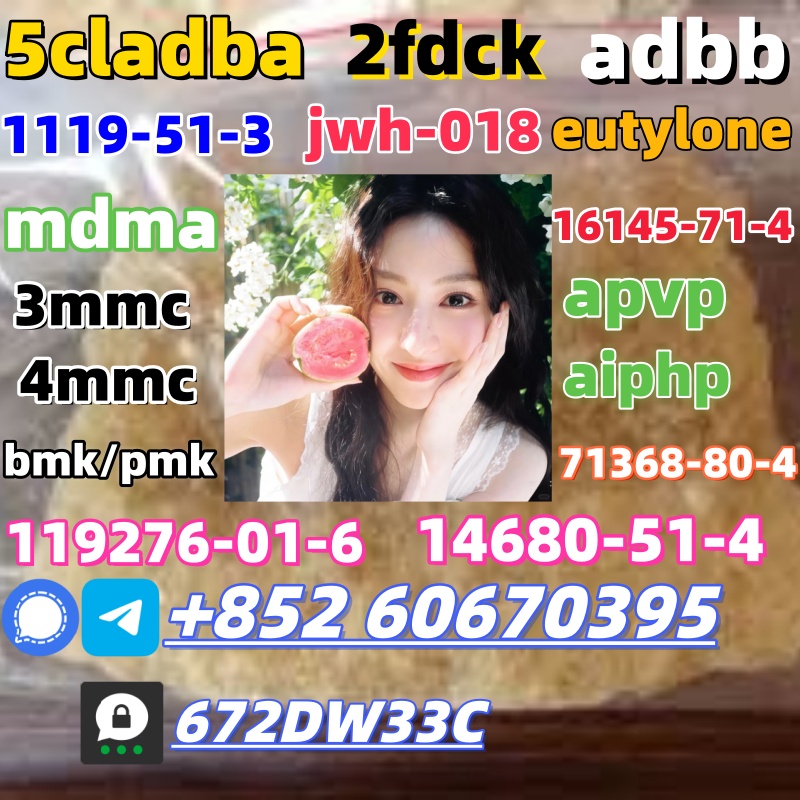 100% secure collect mdma