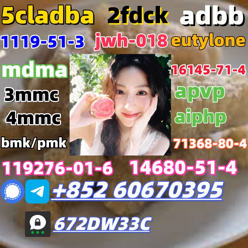 100% secure collect mdma