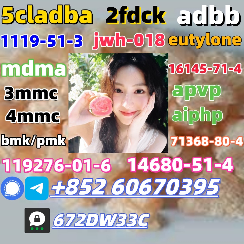 100% secure collect mdma